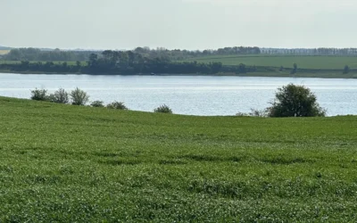 Klimaborgermøde d. 3. april