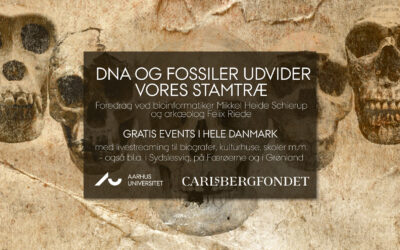 Livestreaming fra AU: DNA og fossiler udvider vores stamtræ
