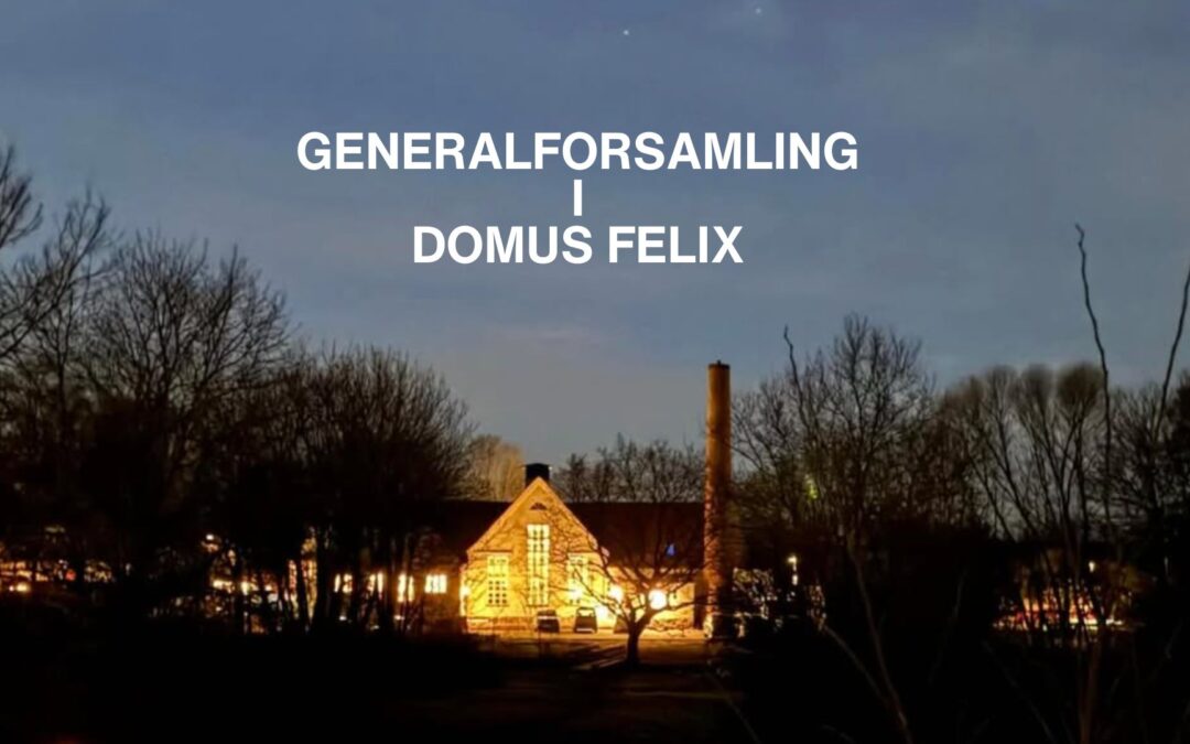 Generalforsamling i Domus Felix d. 23/4