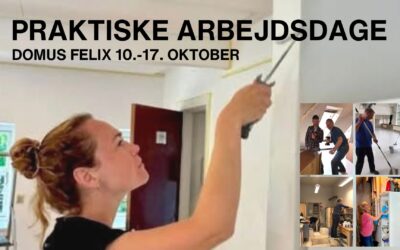 Praktiske arbejdsdage i Domus Felix